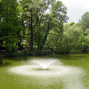 Margaret Park in Bologna