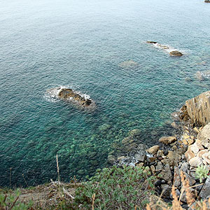 Via dell'Amore Cinqueterre