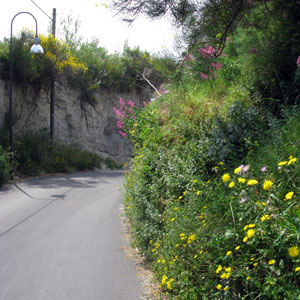 Hot Spring of Sorgeto Bay in Ischia